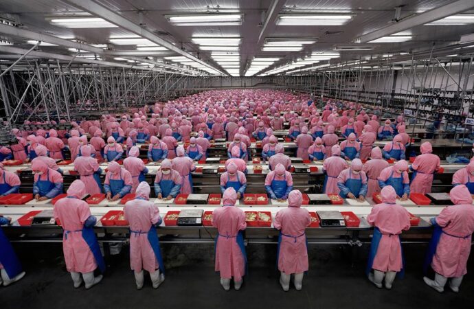 Kinë, bie industria përpunuese