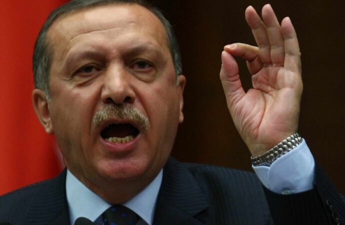 Erdogan kritikon mediat sociale