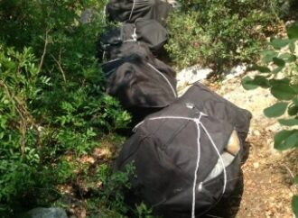 Vlorë, sekuestrohet 1 ton kanabis