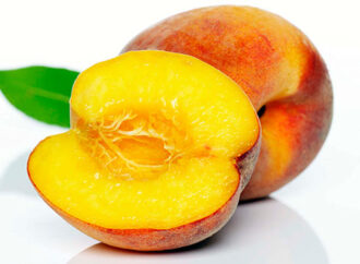 Pjeshka, burim vitaminash