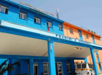 Helmohen 47 dasmorë në Fier