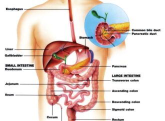 Proteinat që sinjalizojnë për kancerin ezofagut