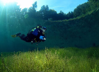 Austri, një park nënujorë i rrallë