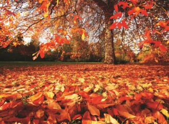 Vjeshtë e ngrohtë dhe dimër i butë