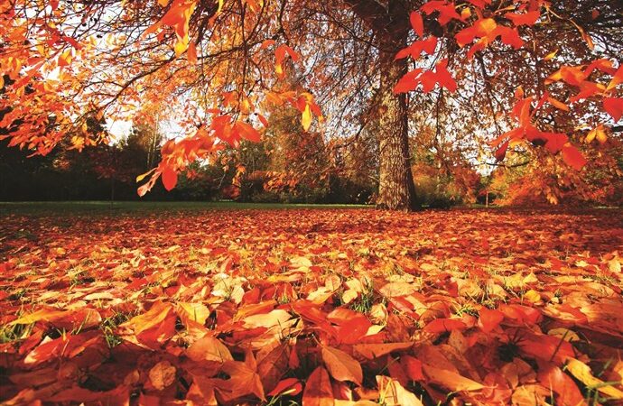 Vjeshtë e ngrohtë dhe dimër i butë