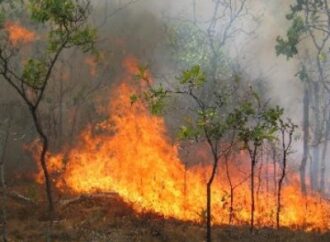 Zjarr në pyllin Darzëzë të Fierit dhe në Peshtan të Lushnjes