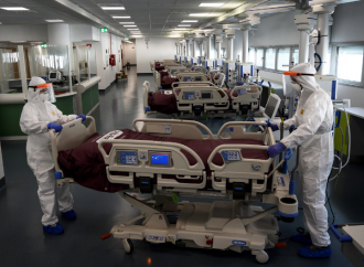 INSTAT/ Tirana dhe Vlora qytetet me numrin më të lartë të vdekjeve nga pandemia për vitin 2021